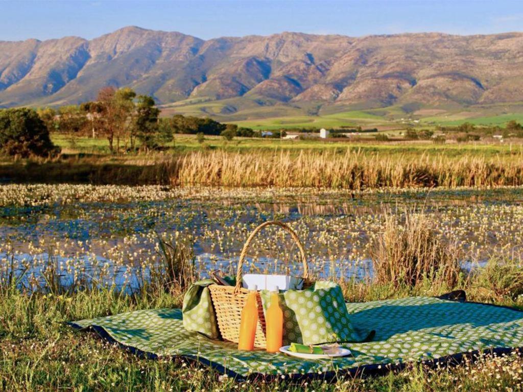Отель Duikersdrift Winelands Country Escape Тульбах Экстерьер фото